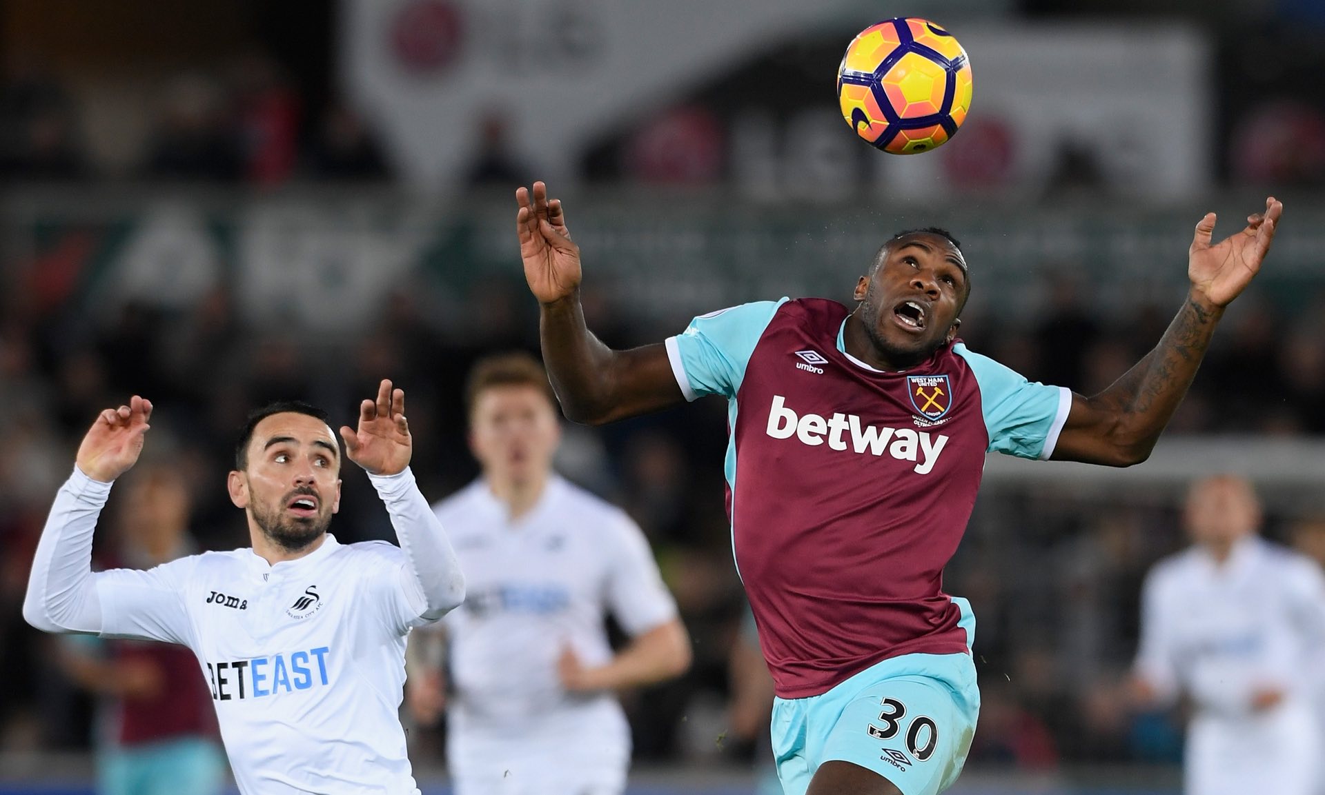 衣的发布不 衣的发布不